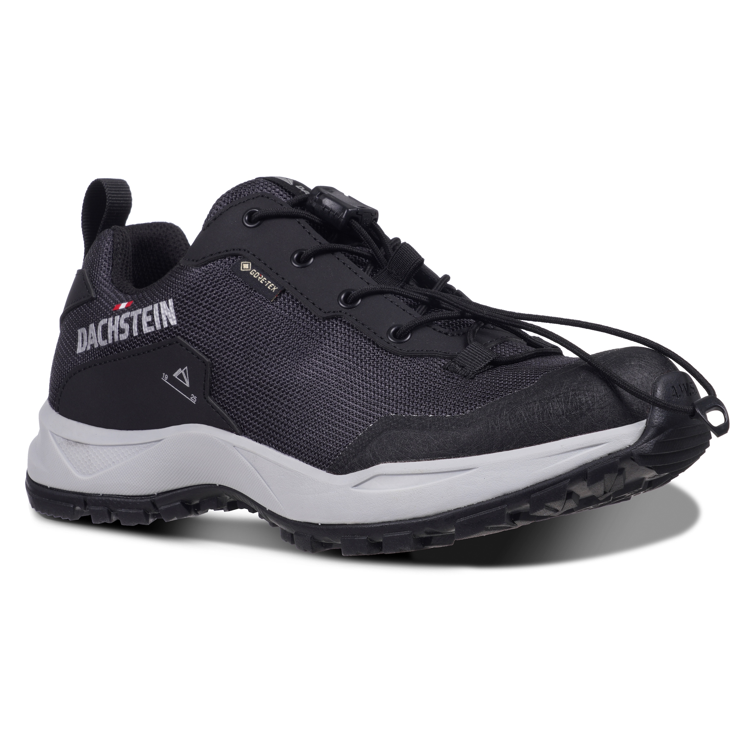 Dachstein Wanderschuh »DELTA ASCENT GTX WMN«, wasserdicht