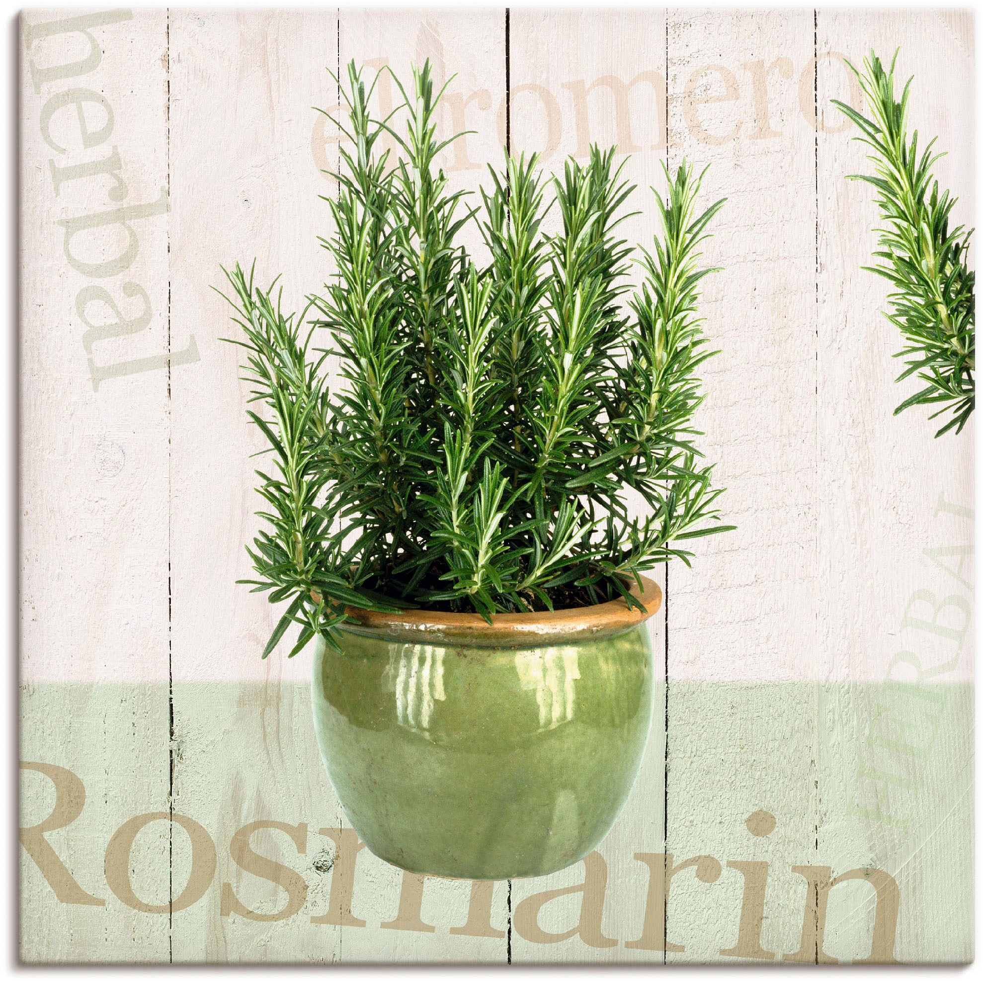 Artland Wandbild »Rosmarin«, Pflanzen, (1 St.) kaufen BAUR
