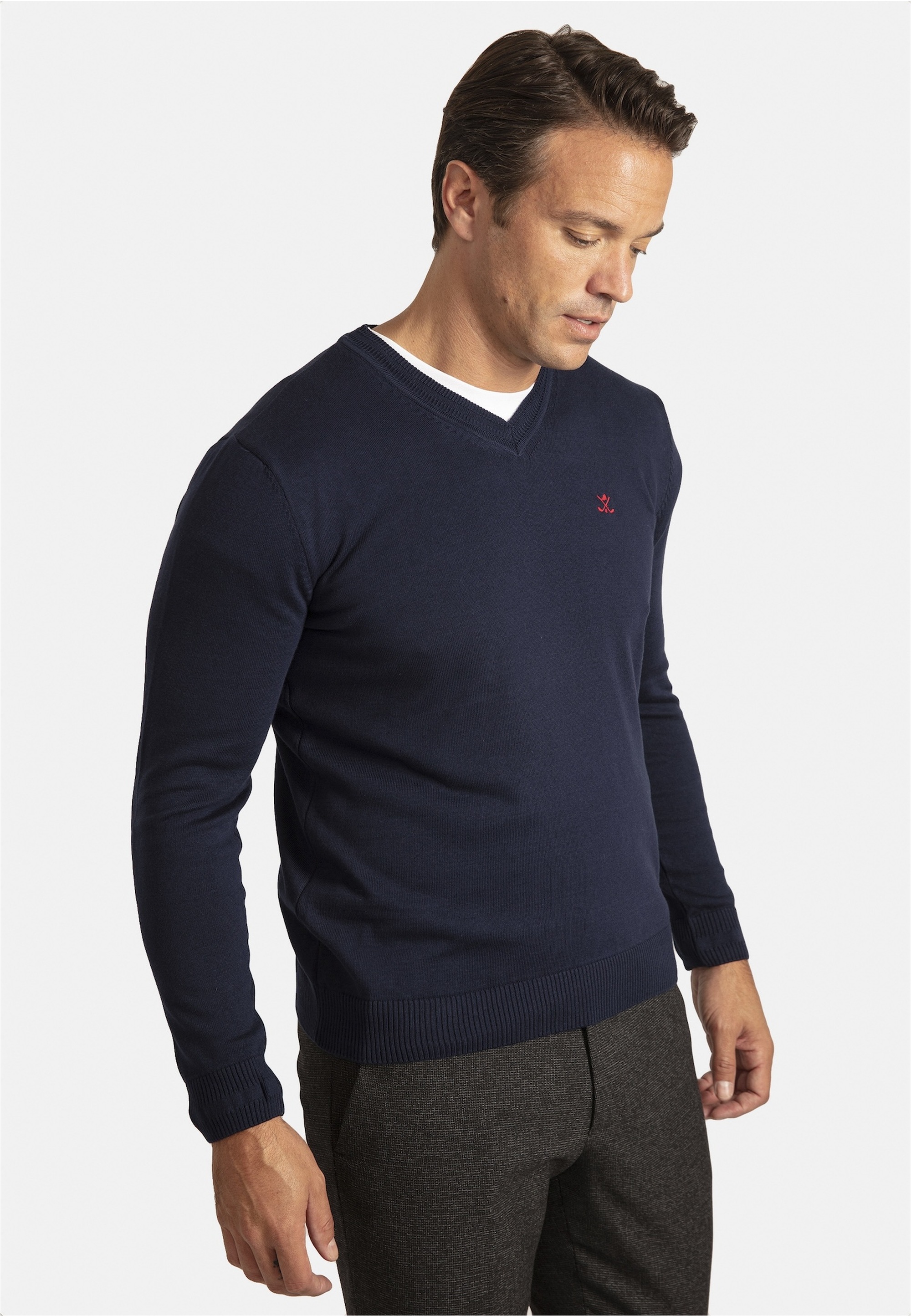 SIR RAYMOND TAILOR Strickpullover »Los Angeles«, (1 tlg.), mit klassischem V-Ausschnitt