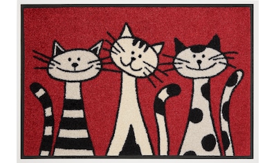 Fußmatte »Three Cats«, rechteckig