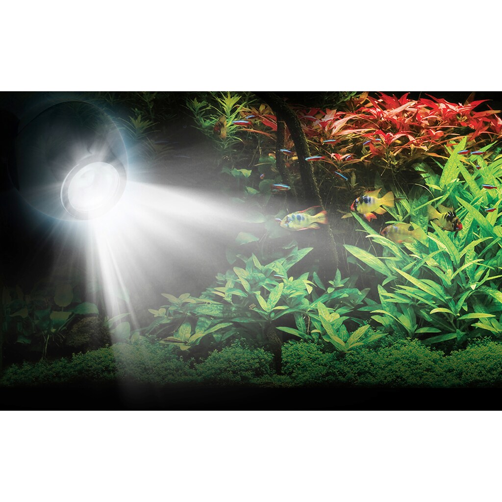 FLUVAL LED Aquariumleuchte »FL 6.5W RGB LED Spot Light«