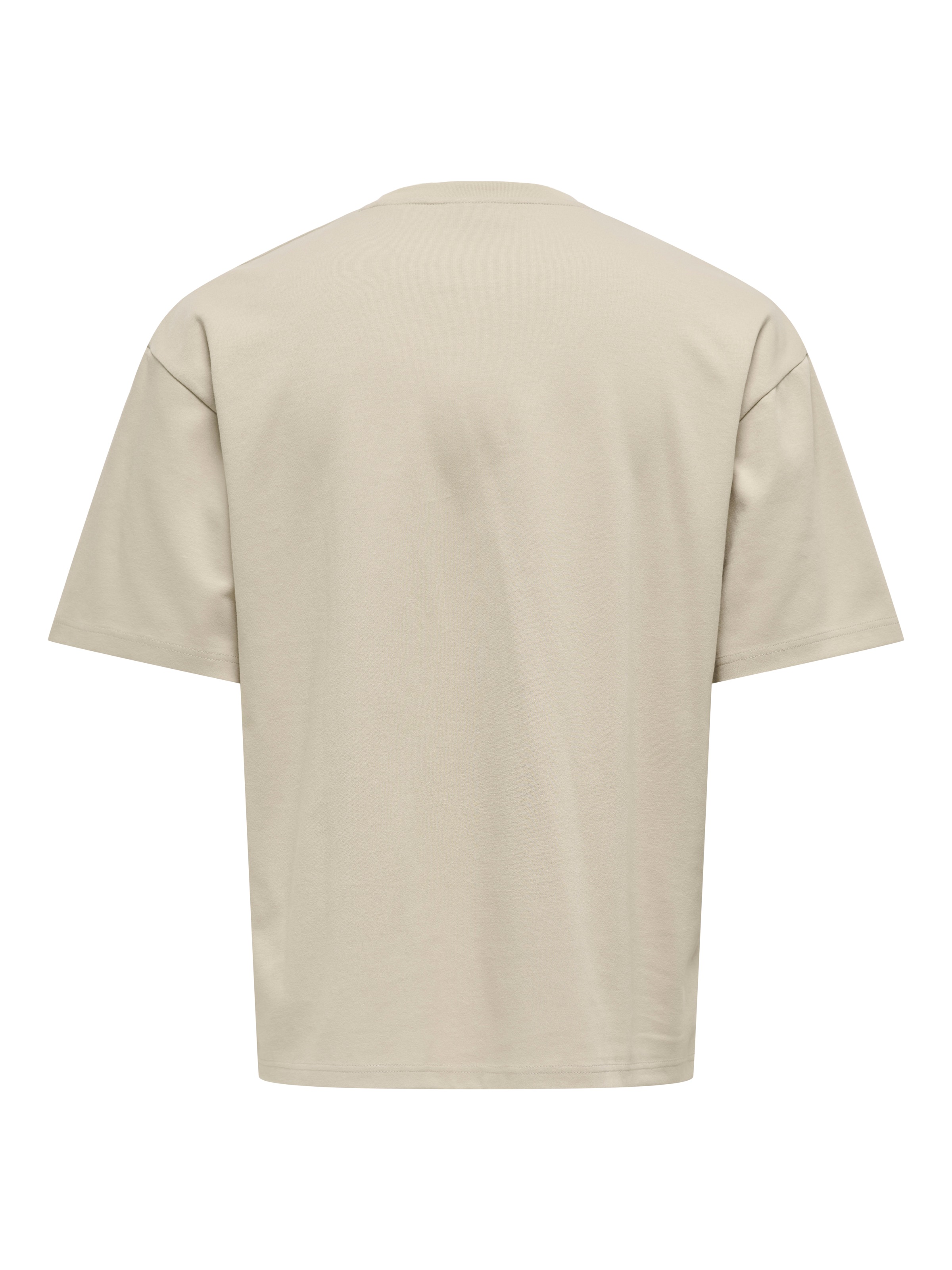 ONLY & SONS Rundhalsshirt »ONSCASPIAN AUT SS TEE« Baumwollmischung, regular fit