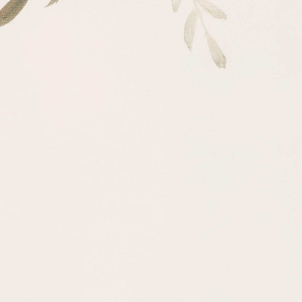 Komar Fototapete »Vlies Fototapete - Éventail de Couleurs - Größe 350 x 250 cm« Motiv | bedruckt glatt