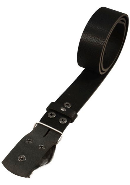 Rettungsring Gürtel Ledergürtel mit austauschbarer Schließe "Flügel", 4cm günstig online kaufen