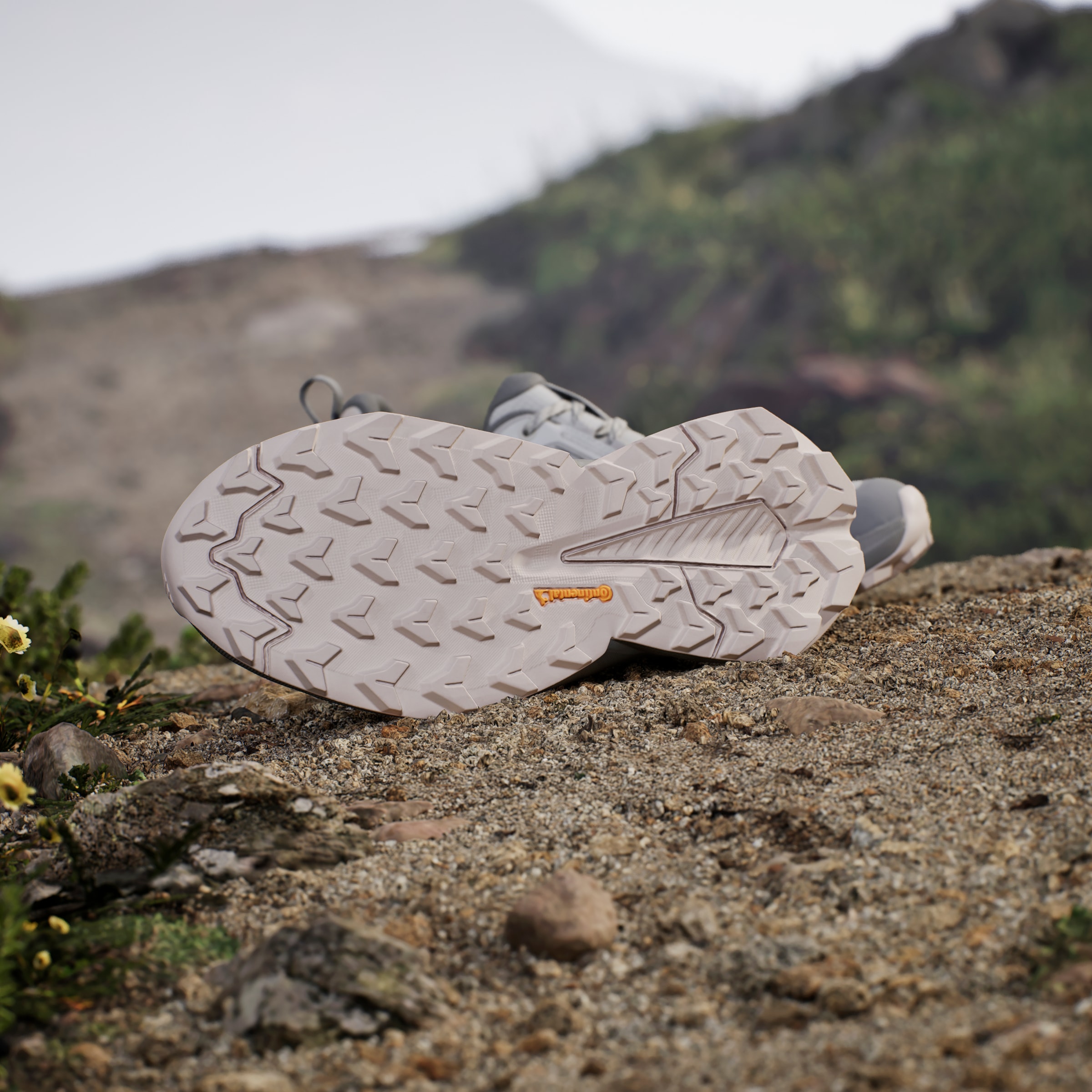 adidas TERREX Wanderschuh »TERREX TRAILMAKER 2.0 GORE-TEX«