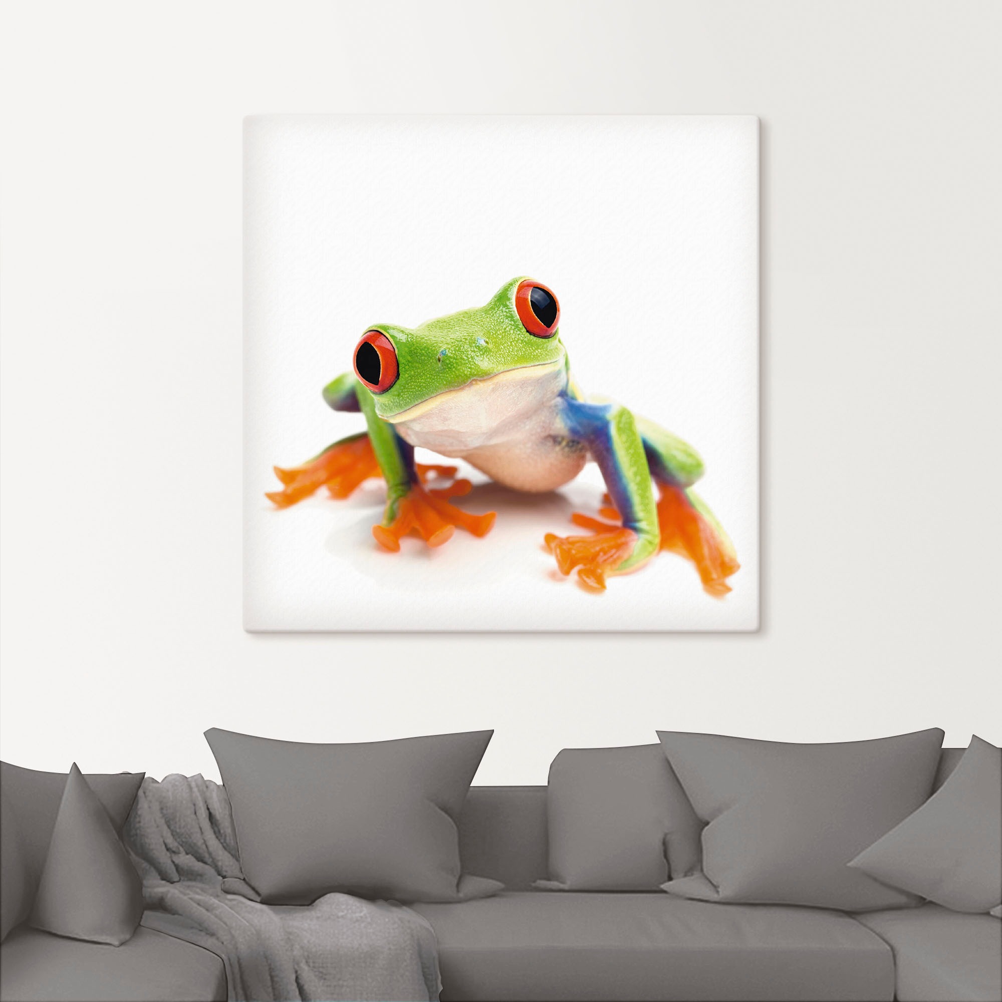 Artland Wandbild »Großaufnahme eines Frosches vor weiß«, Wassertiere, (1 St.), als Alubild, Outdoorbild, Leinwandbild in verschied. Größen