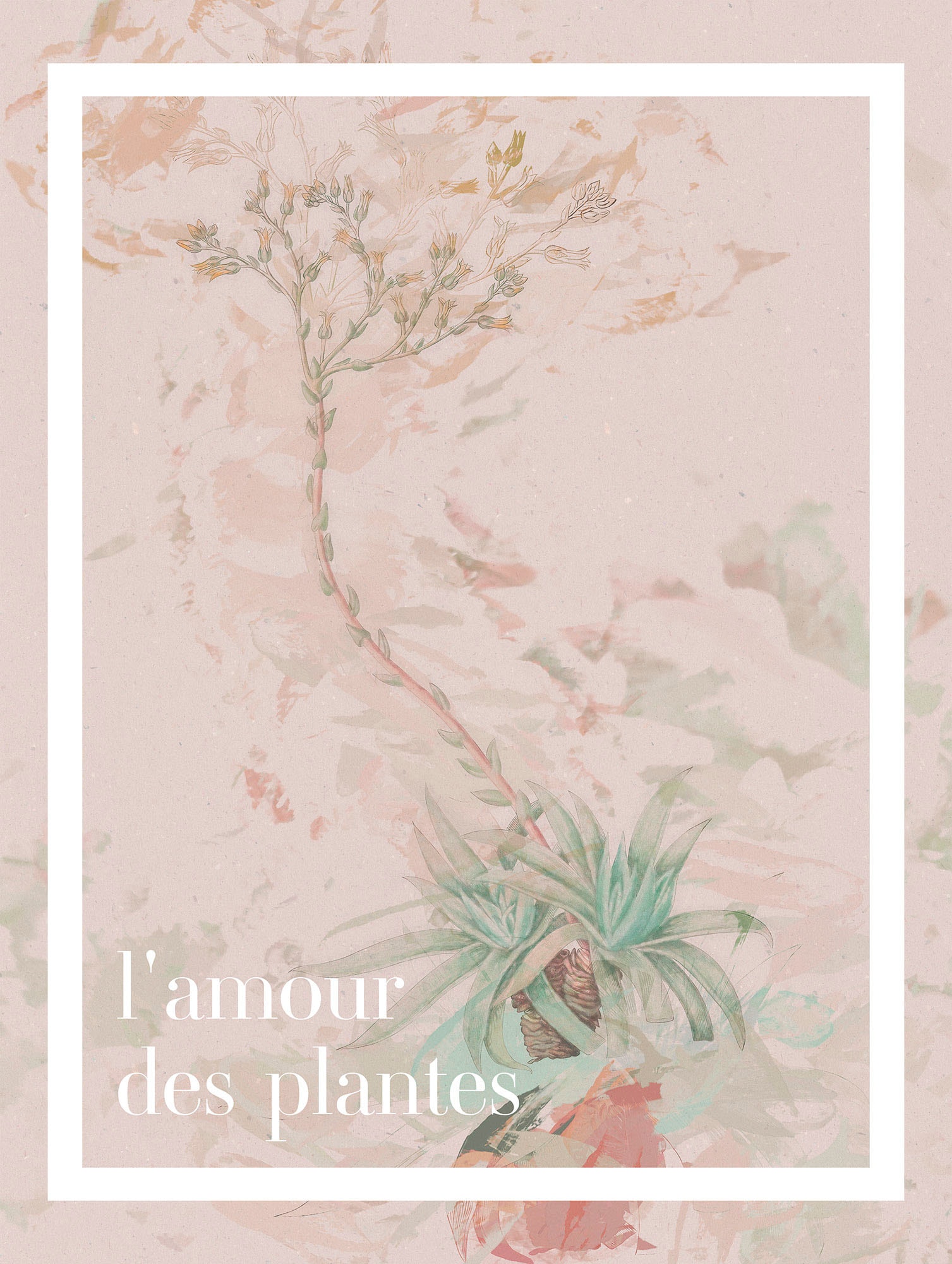 Komar Wandbild "Lamour des plantes", (1 St.), Deutsches Premium-Poster Foto günstig online kaufen