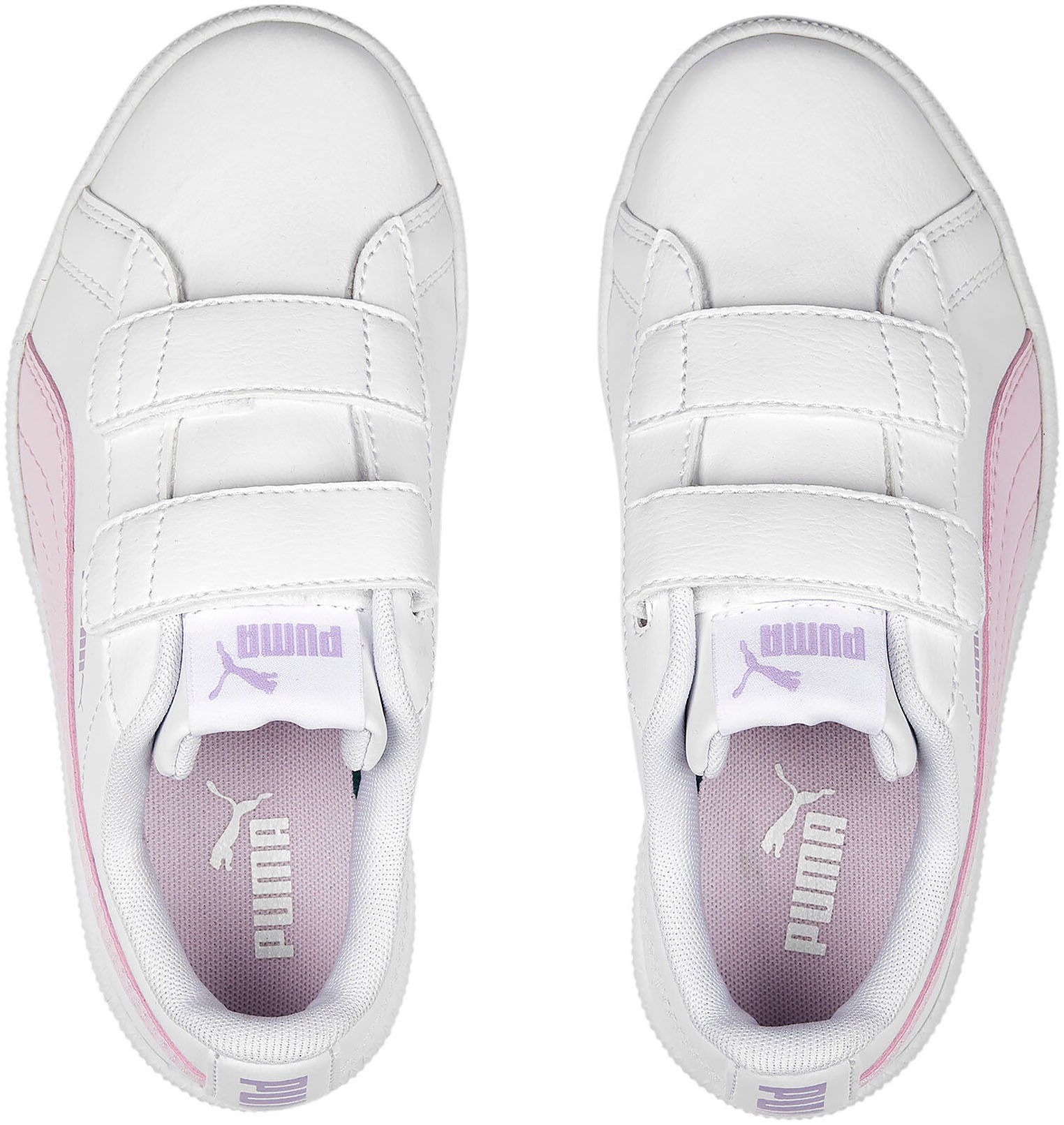 PUMA Sneaker BAUR UP online mit | Klettverschluss V PS«, bestellen »PUMA