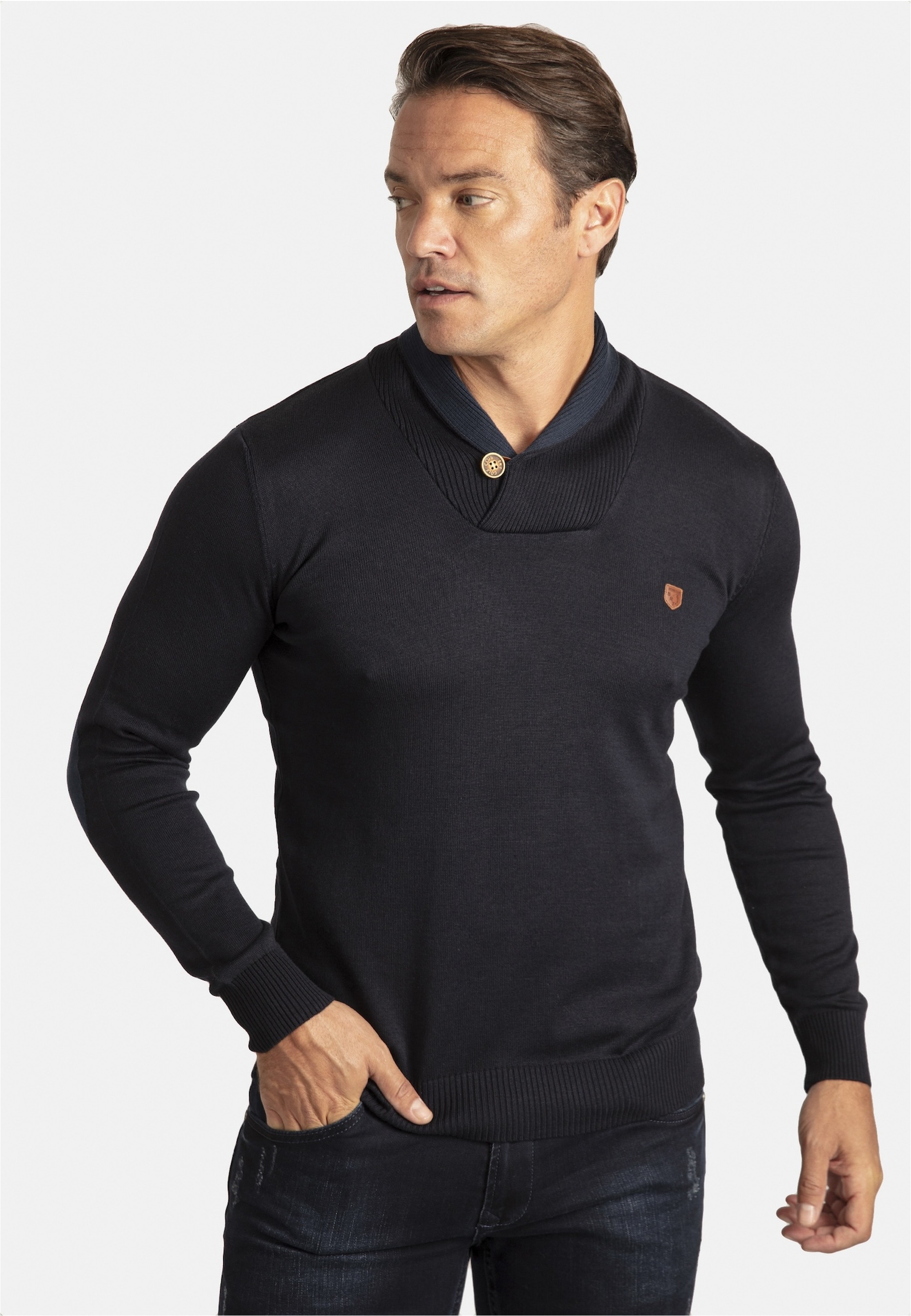 SIR RAYMOND TAILOR Strickpullover »Erasmo«, mit gemütlichem Stehkragen