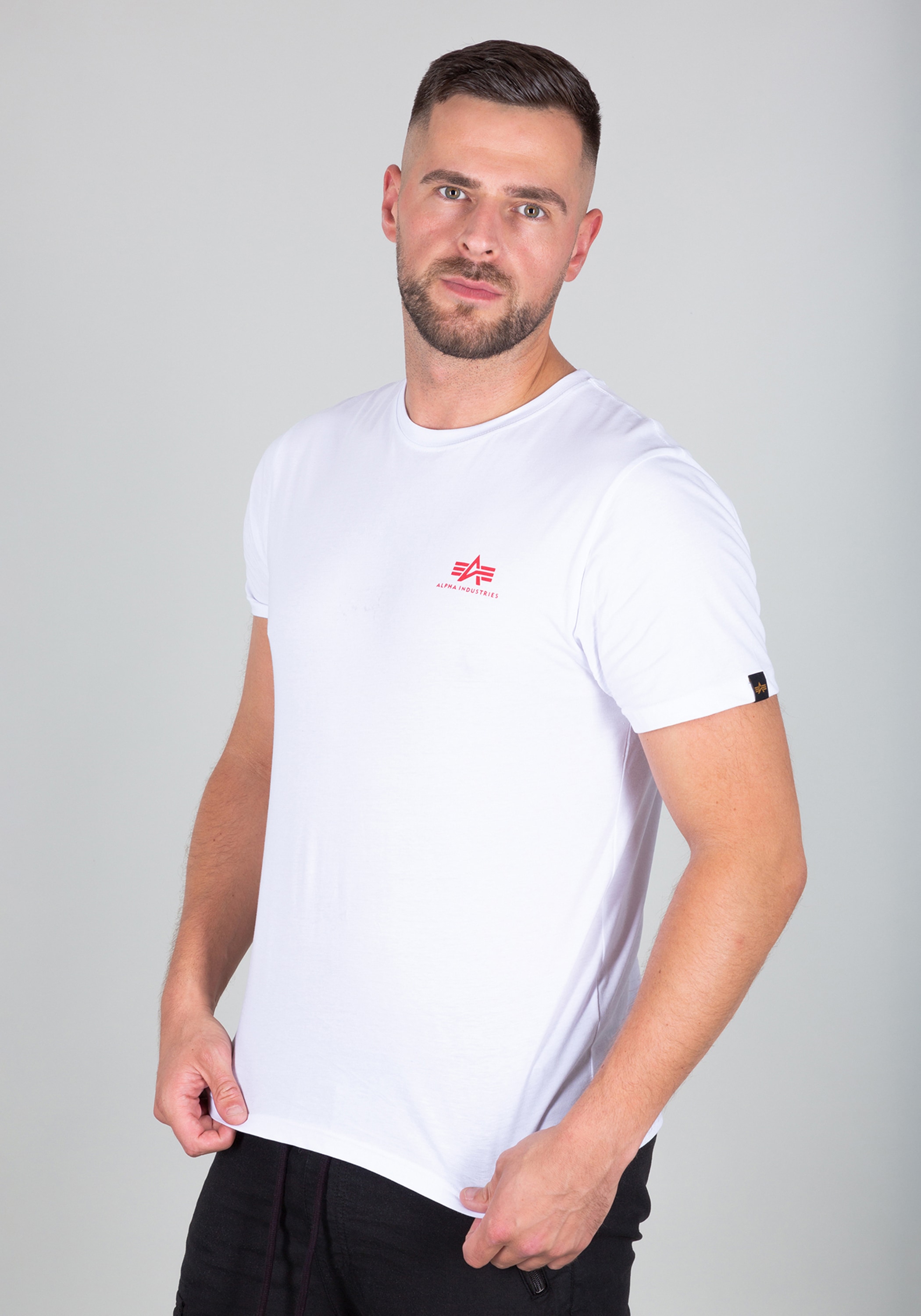 Alpha Industries T-Shirt »Alpha Industries Men - T-Shirts Backprint T«