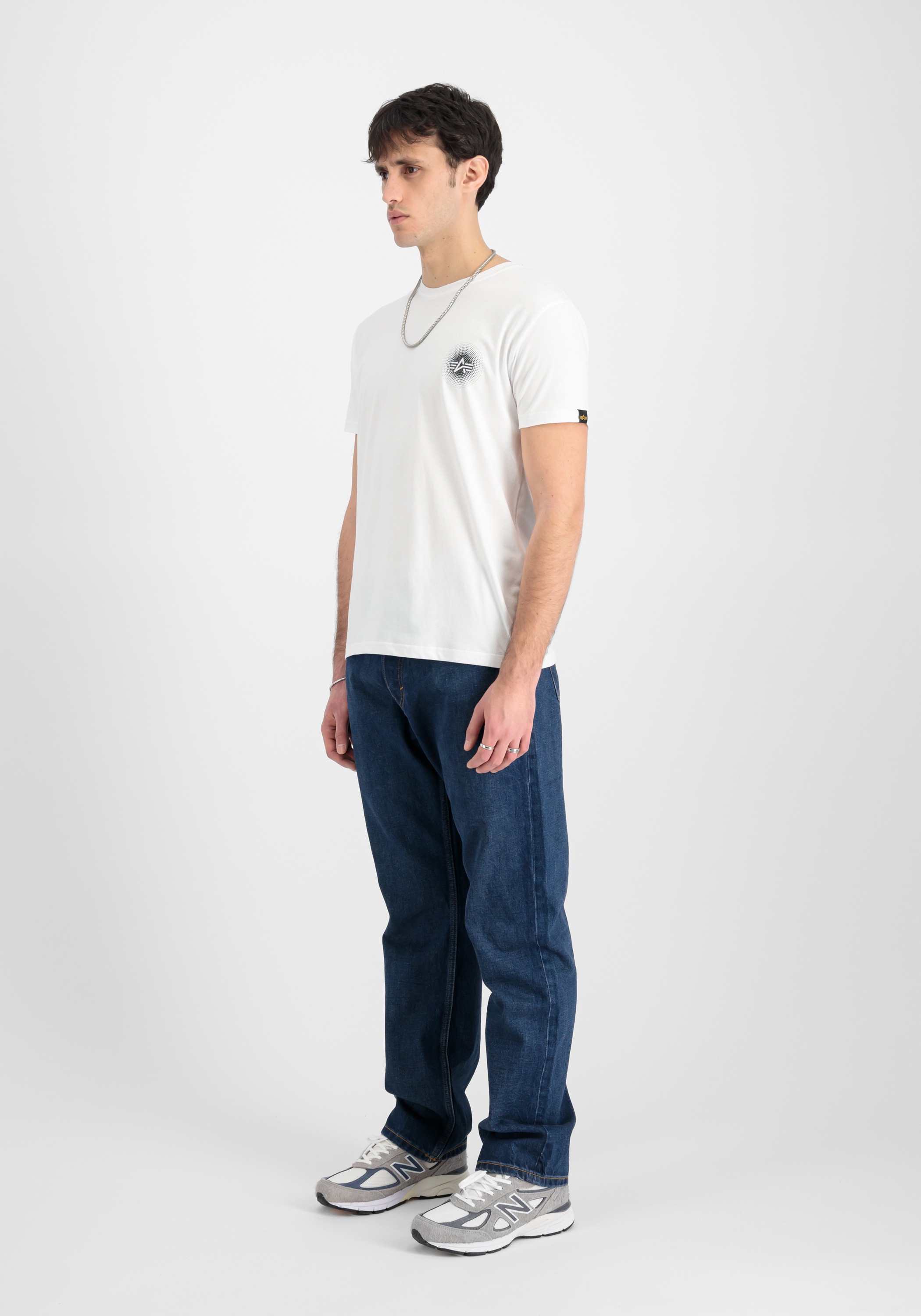 Alpha Industries T-Shirt »Doted SL T-Shirt«