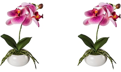 Kunstorchidee »Phalaenopsis in Keramikschale«