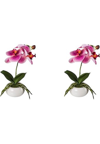 Kunstorchidee »Phalaenopsis in Keramikschale«