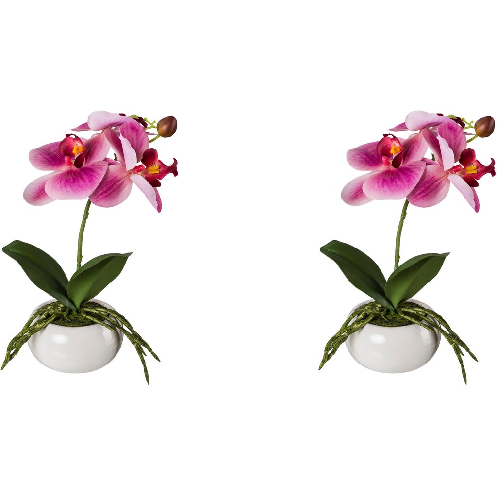 Creativ green Kunstorchidee »Phalaenopsis in Keramikschale«