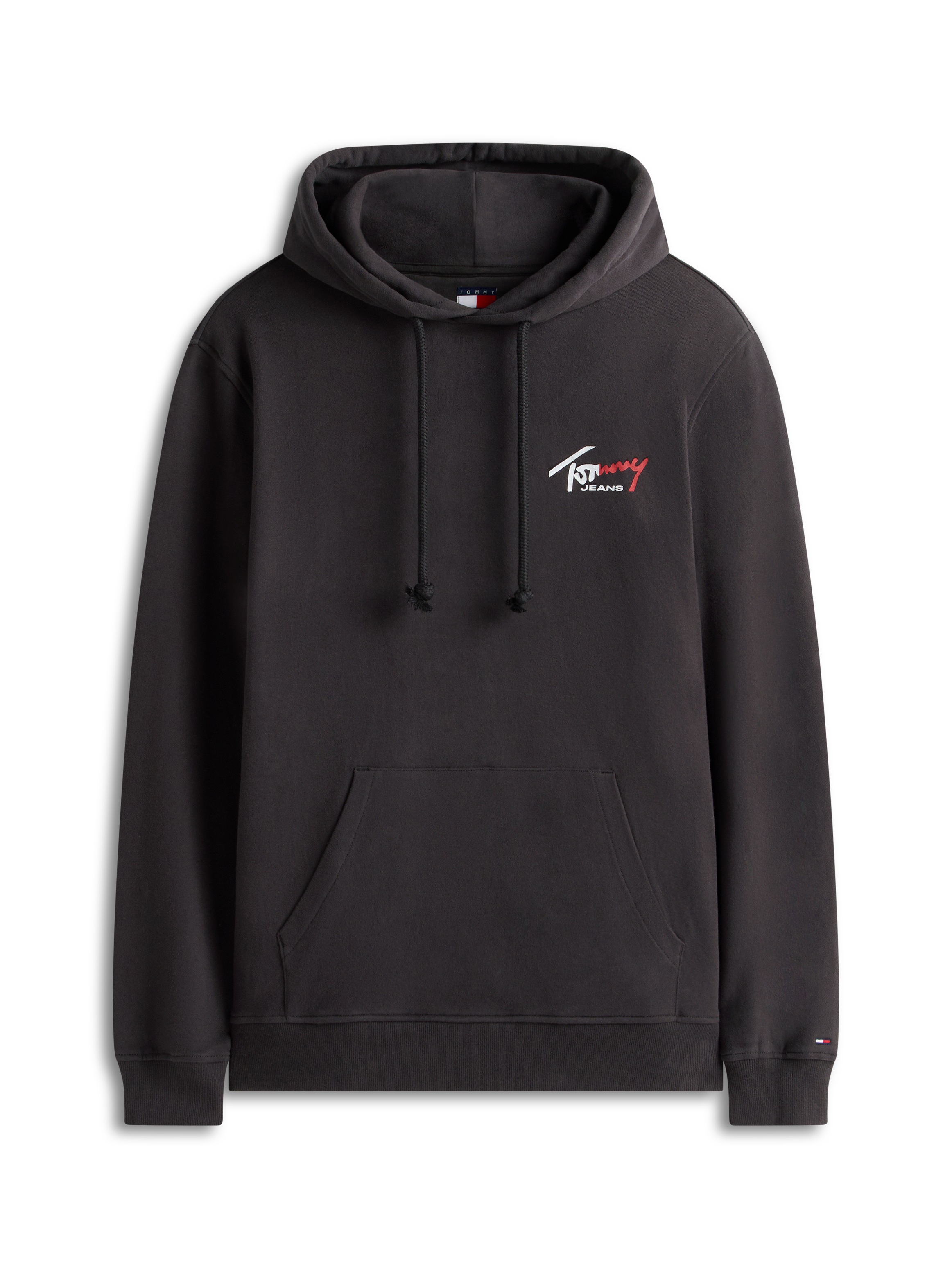 Tommy Jeans Kapuzensweatshirt »TJM REGULAR ENTRY SIGN«, Regular fit mit Kapuze
