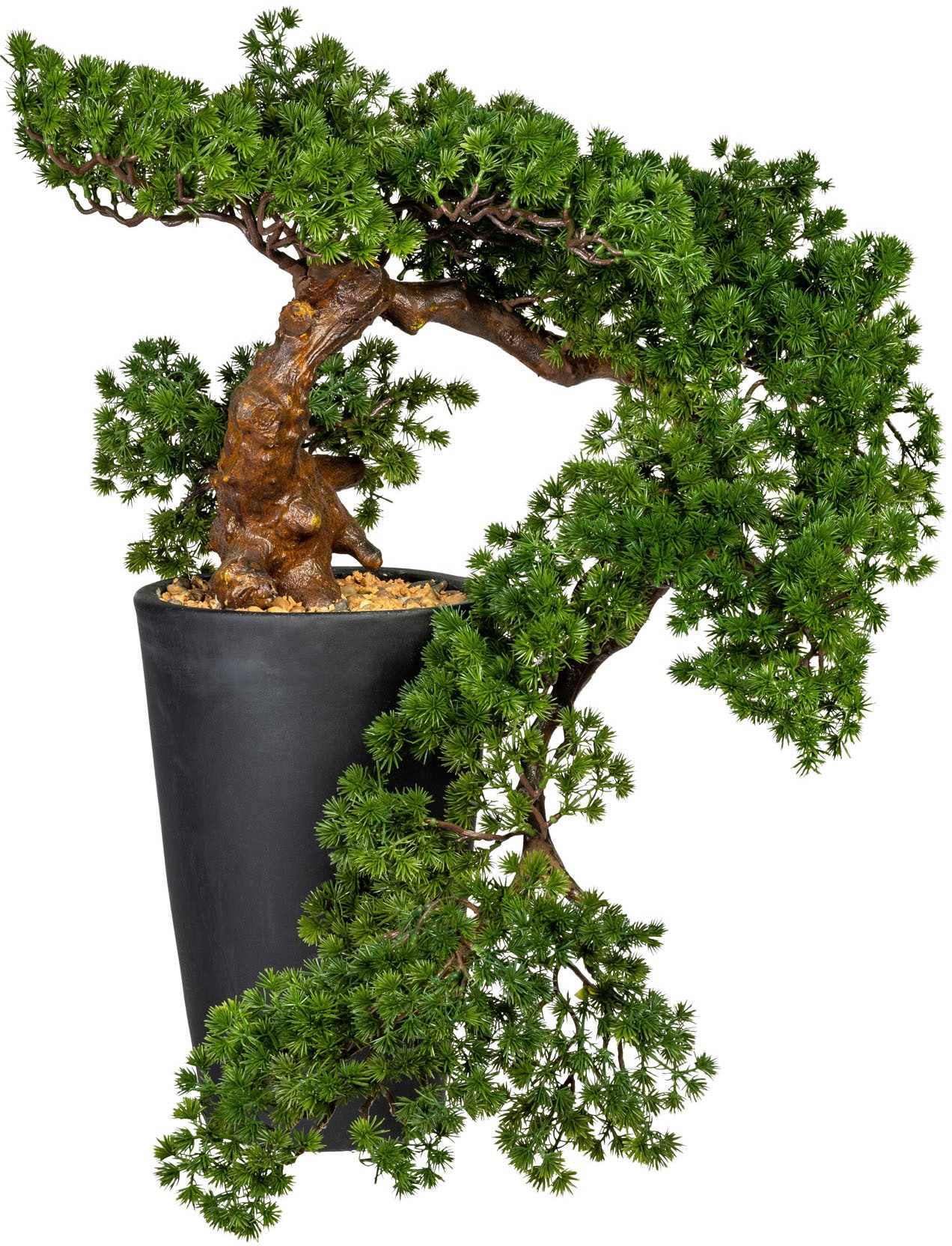 Creativ green Kunstbonsai »Bonsai Lärche Han-Kengai«, im Magnesiatopf