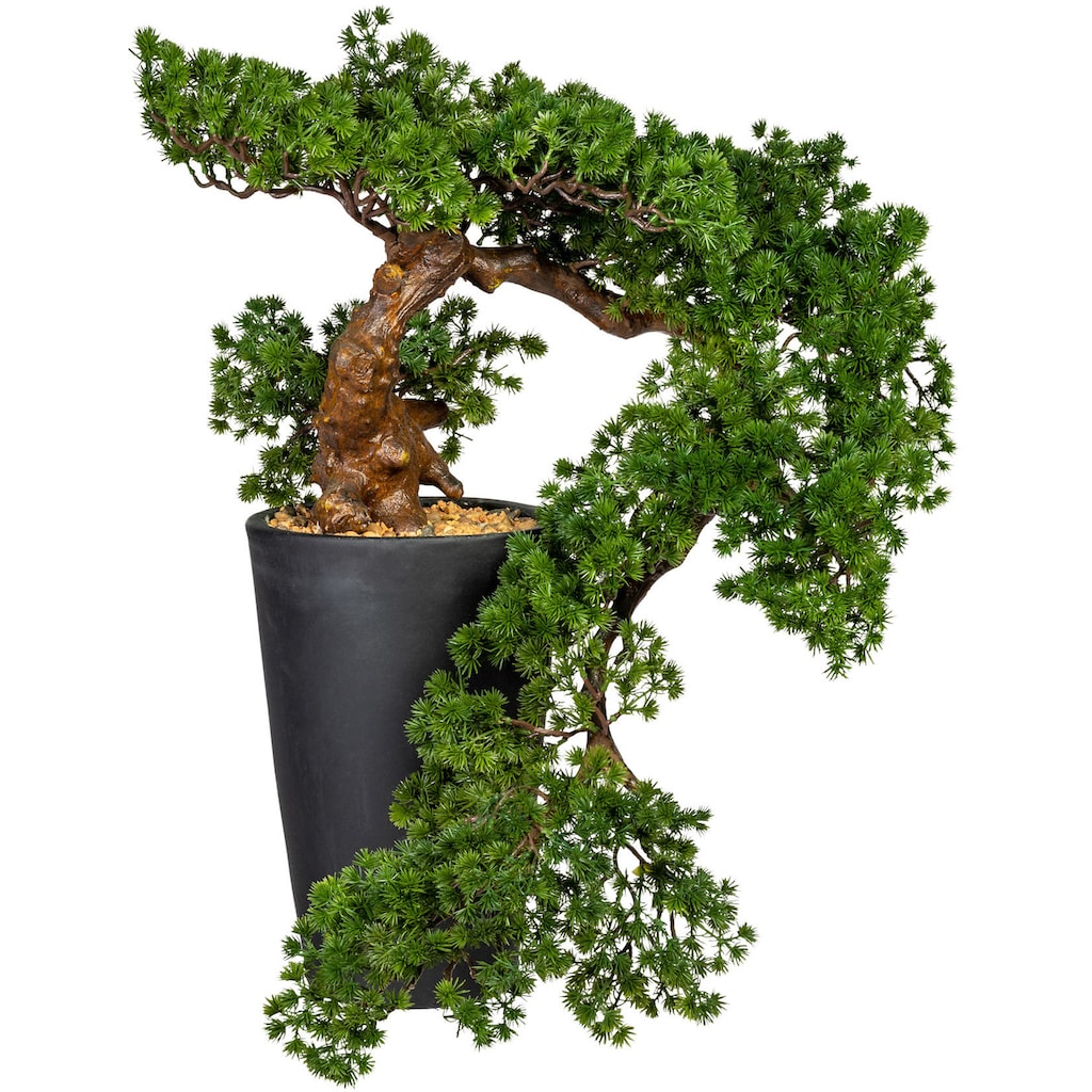 Creativ green Kunstbonsai »Bonsai Lärche Han-Kengai«