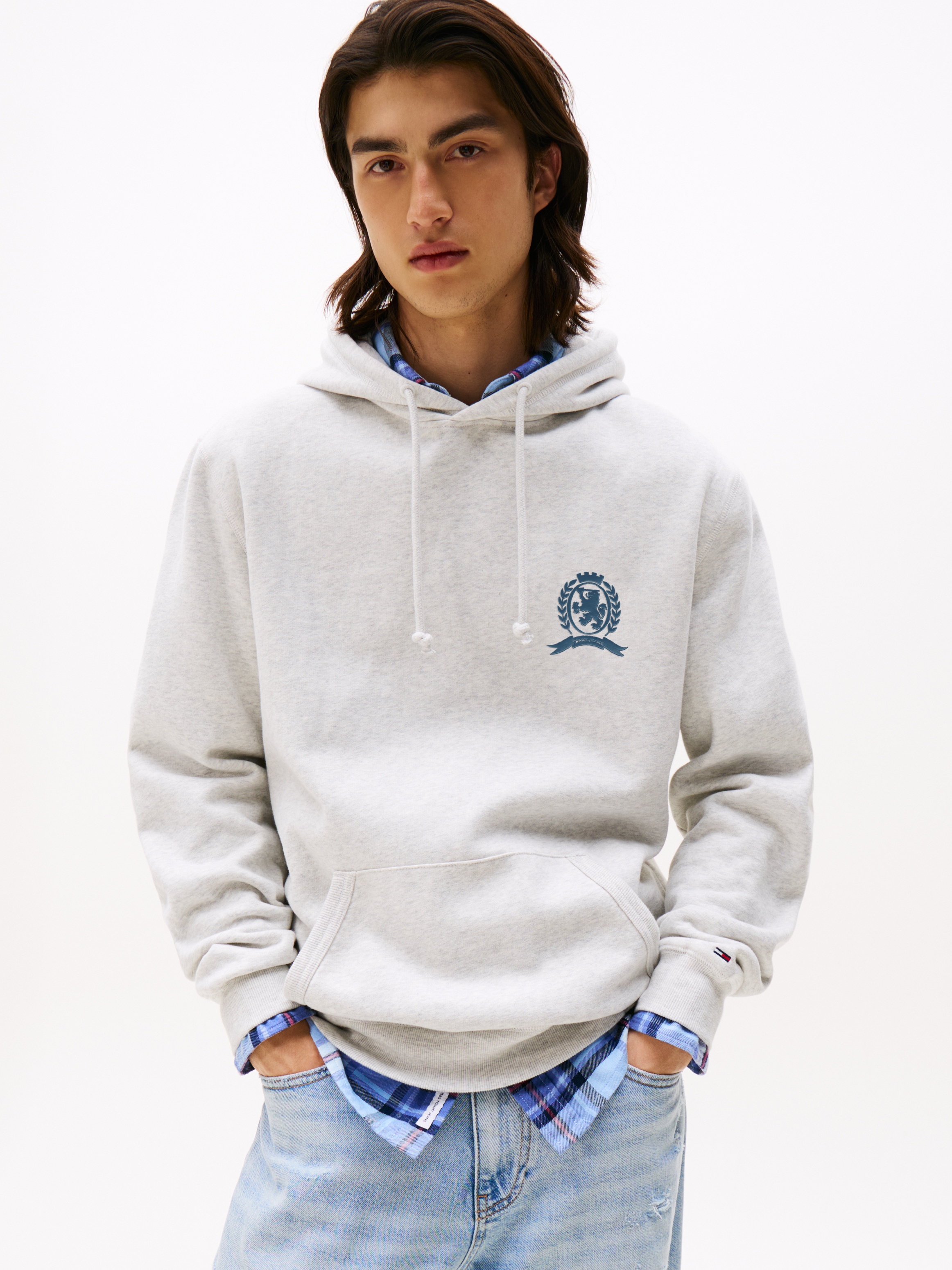 Tommy Jeans Hoodie "TJM WASHED CREST PLAY", regular fit, Sweatshirt, Rücken günstig online kaufen