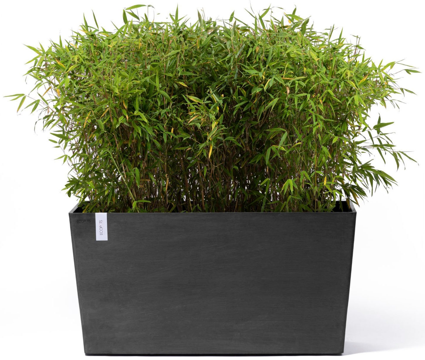 ECOPOTS Blumentopf »Paris« BxTxH: 100x40x50 cm