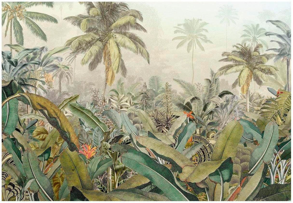 Komar Vliestapete "Vlies - Amazonia - Größe 368 x 248 cm", bedruckt, Wohnzimmer, Schlafzimmer