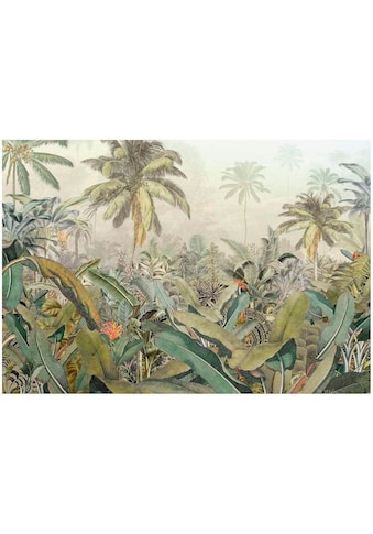 Komar Vliestapete »Amazonia« 368x248 cm (Bre...