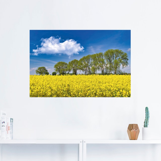 Artland Wandbild »Rapsfeld im Frühling«, Felder, (1 St.), als Alubild,  Leinwandbild, Wandaufkleber oder Poster in versch. Größen bestellen | BAUR