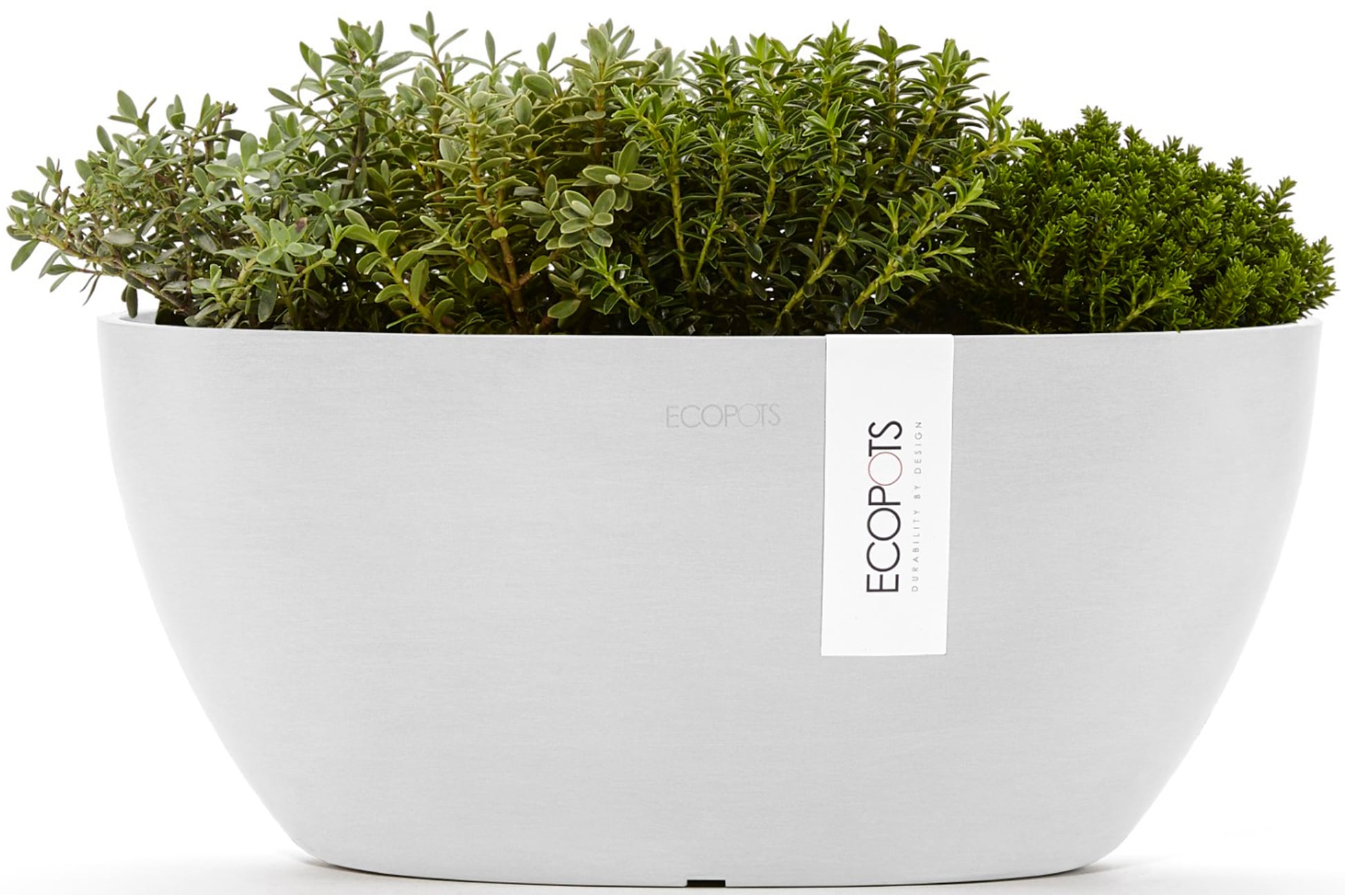 ECOPOTS Blumentopf »Sofia 30 Weiß«, für innen und außen: frostsicher, bruchsicher und lichtbeständig