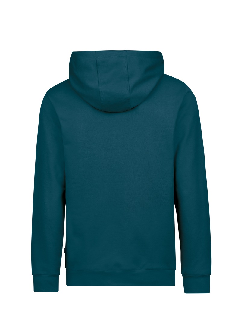 Trigema Kapuzensweatshirt "TRIGEMA Kapuzenpullover mit großem 3D-Motiv" günstig online kaufen