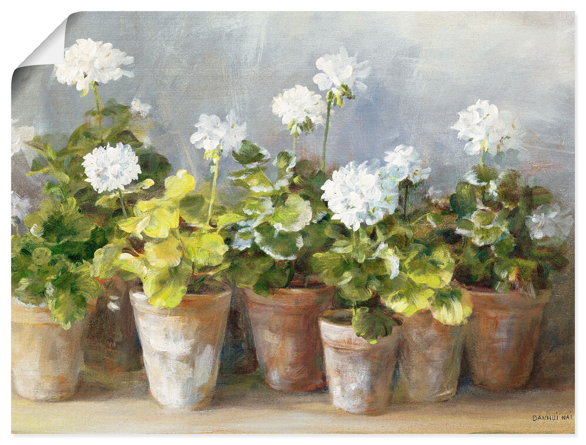 Artland Wandbild "Weiße Geranien" Blumen 1 Stk. tlg. als Leinwandbild, Poster in verschied. Größen