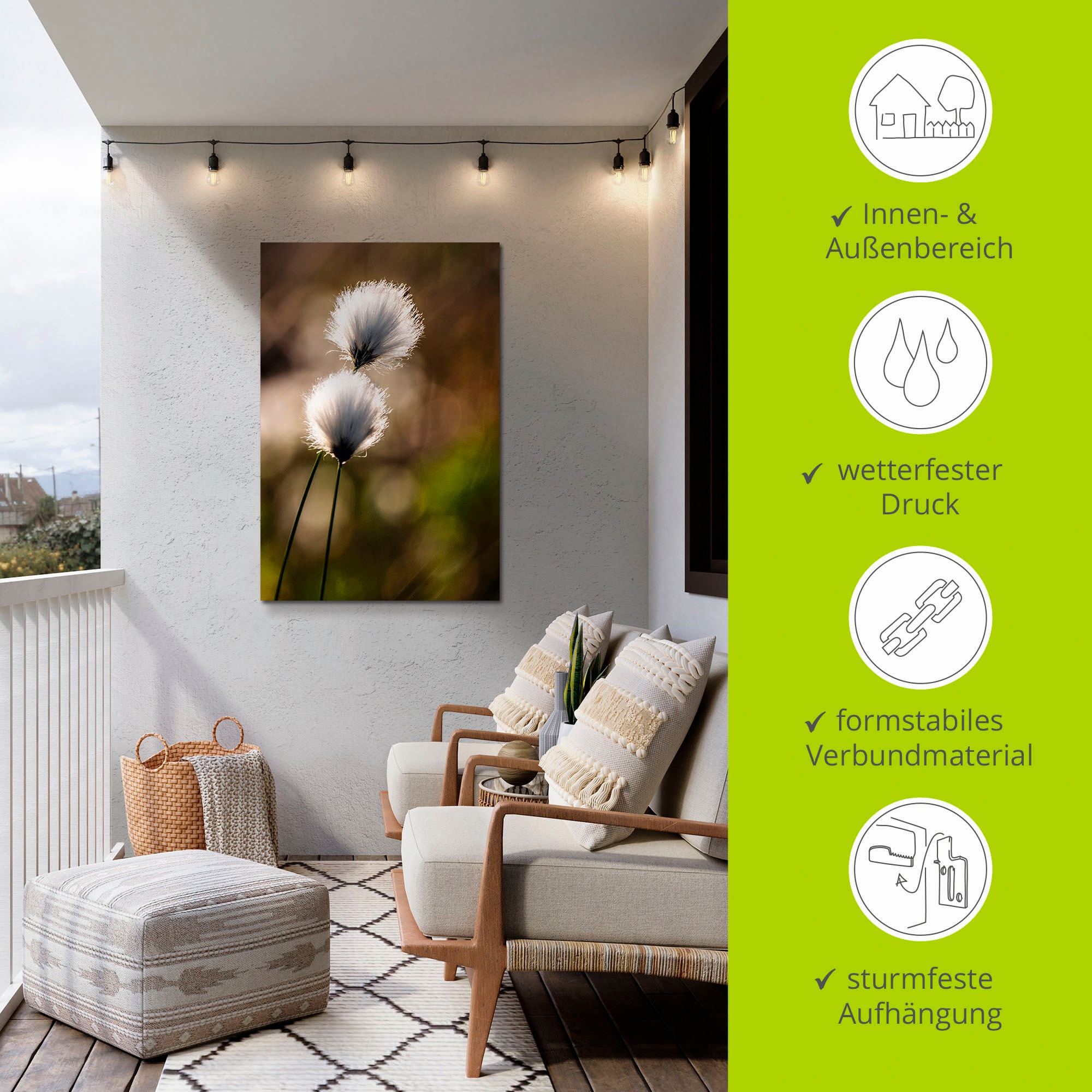 Artland Wandbild »Wollgras I«, Gräser, (1 St.), als Alubild, Outdoorbild, Leinwandbild, Poster in verschied. Größen