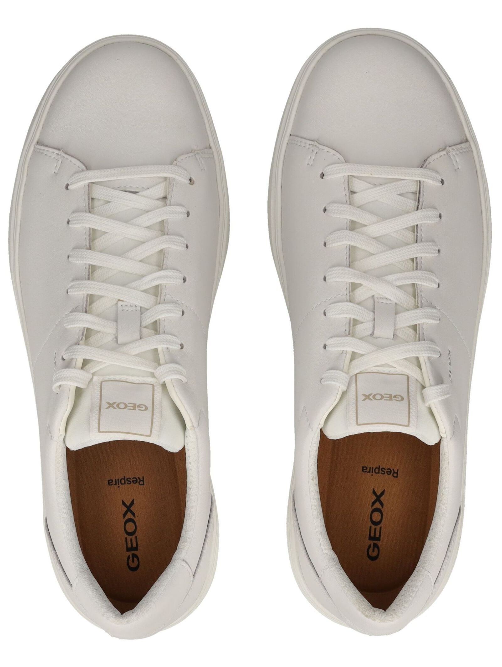 Geox Sneaker »Geox Sneaker Leder«