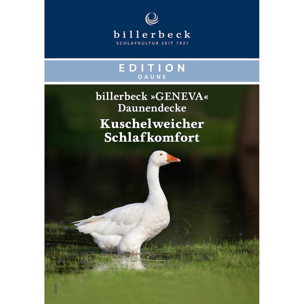 billerbeck Gänsedaunenbettdecke »Geneva 90, Bettdecke für Sommer und Winter, Decke«, extrawarm, Füllung 90% Gänsedaunen, 10% Gänsefeder, Bezug 100% Baumwolle, (1 St.)