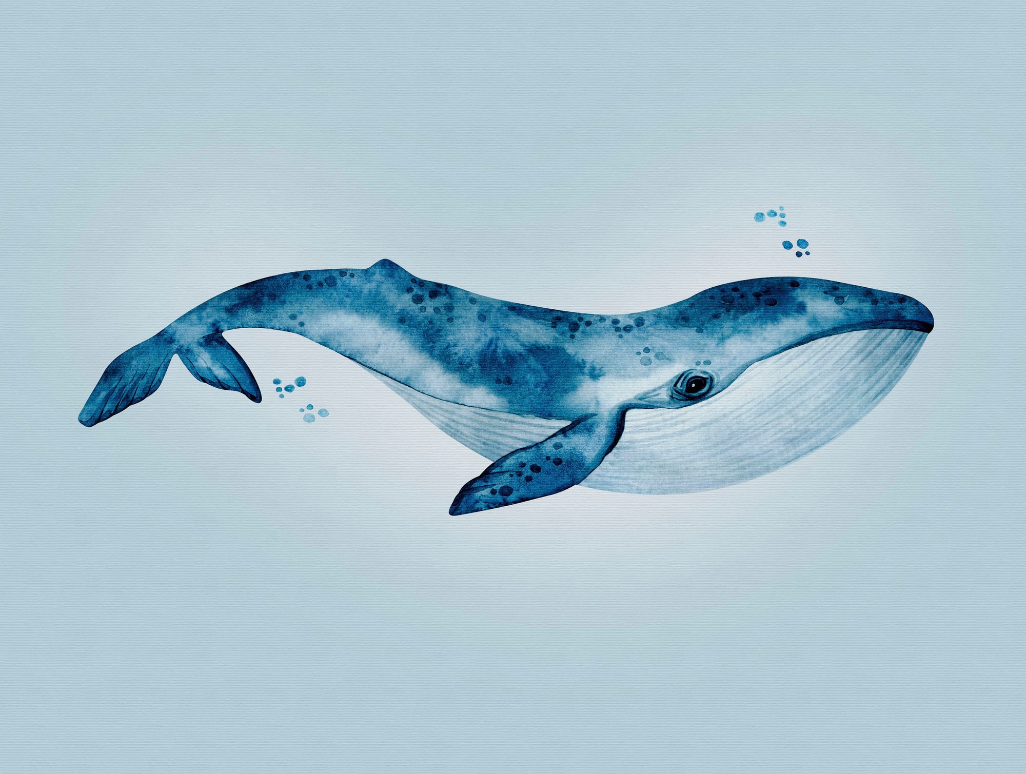 Kindertapete »The Wall«, Meer-Motiv, Fototapete Unterwasser Tapete Fische Blau