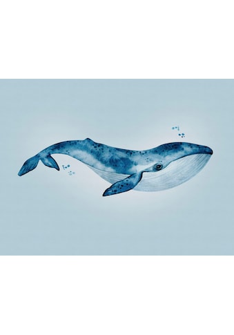 Kindertapete »The Wall«, Meer-Motiv, Fototapete Unterwasser Tapete Fische Blau