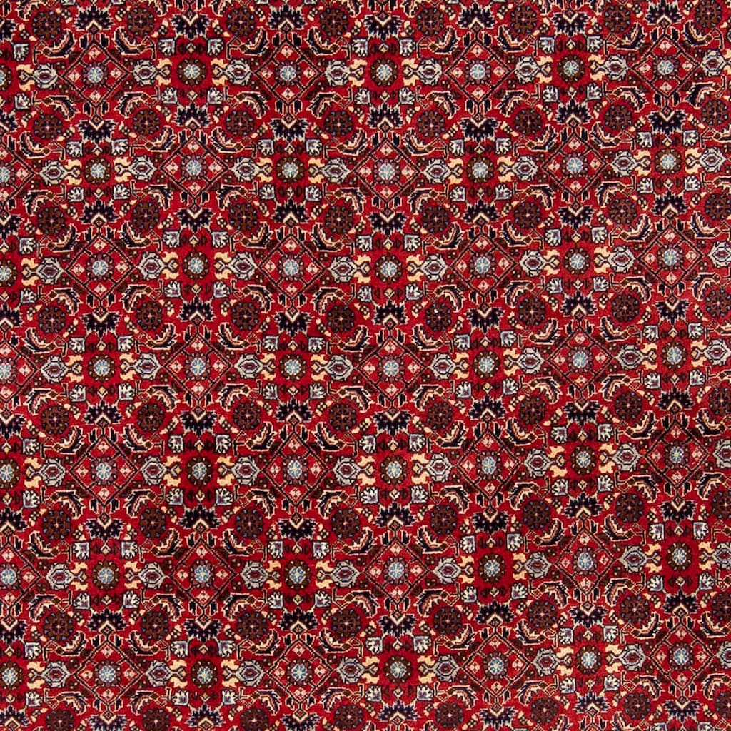 morgenland Orientteppich »Perser - Bidjar - 251 x 175 cm - rot«, rechteckig