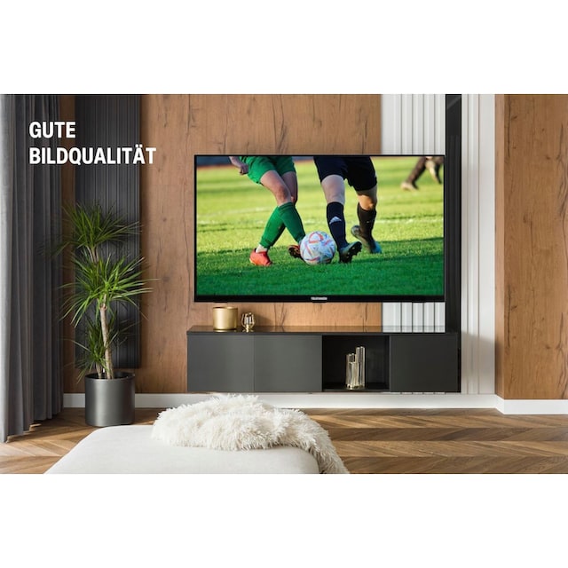 BAUR | HD-ready cm/24 Zoll, 60 LED-Fernseher »L24H550M4I«, Telefunken