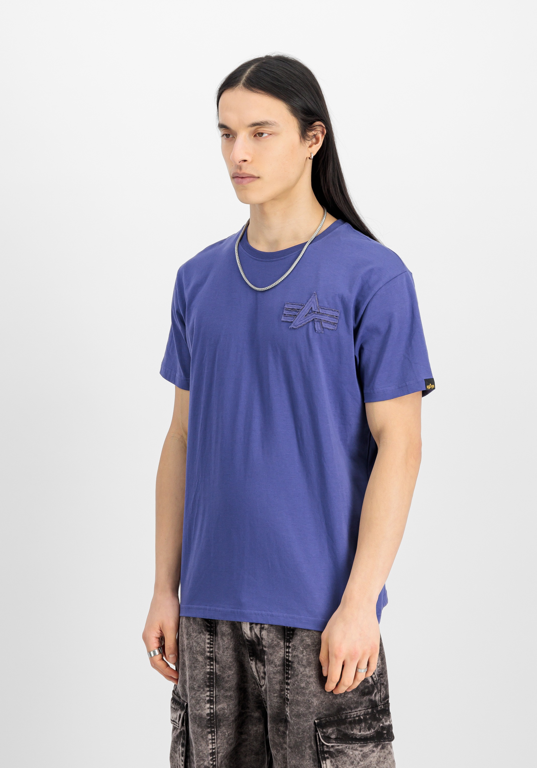 Alpha Industries T-Shirt »Coach T-Shirt Back Embroidery«