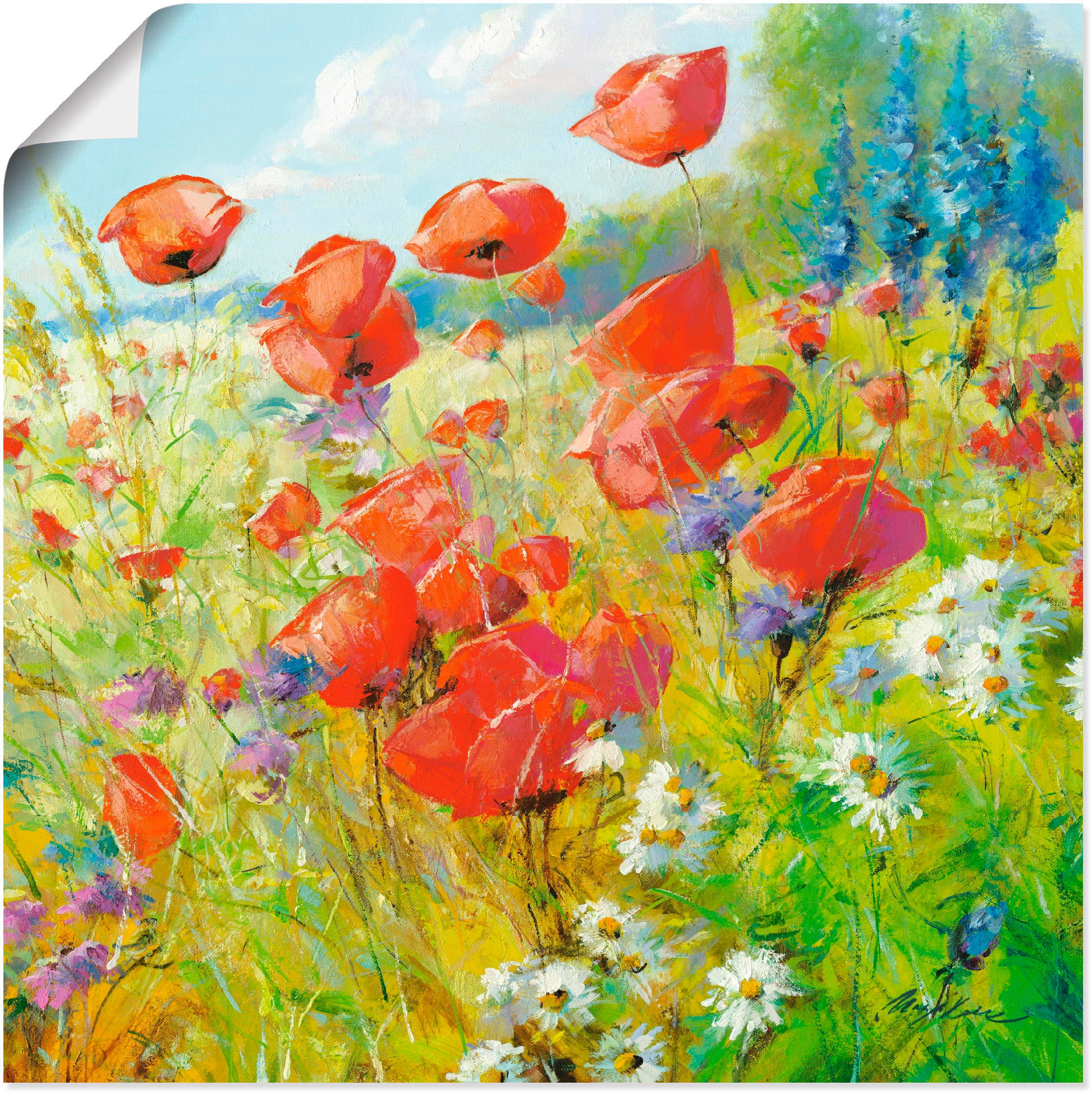 Artland Wandbild "Sommerwiese mit Mohnblumen", Blumenwiese, (1 St.), als Al günstig online kaufen