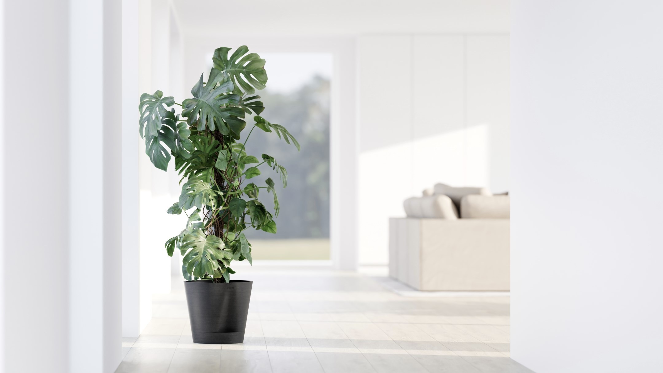 ECOPOTS Blumentopf »Venice 2 30 Dunkelgrau« für den Innenbereich