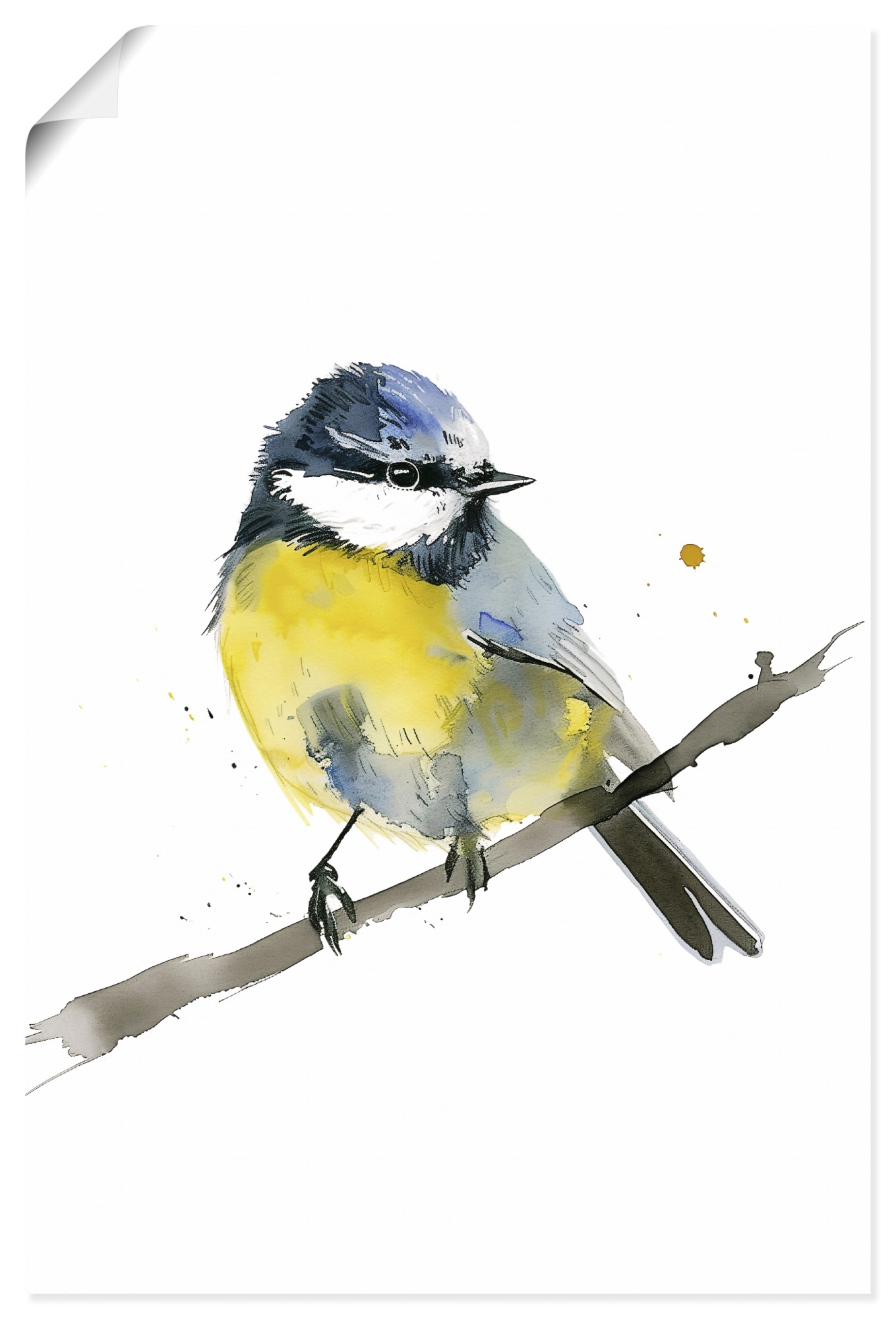 Artland Wandbild "Aquarell Blaumeise" Vogelbilder 1 Stk. tlg. als Alubild, Leinwandbild, Poster, Wandaufkleber in verschied. Größen