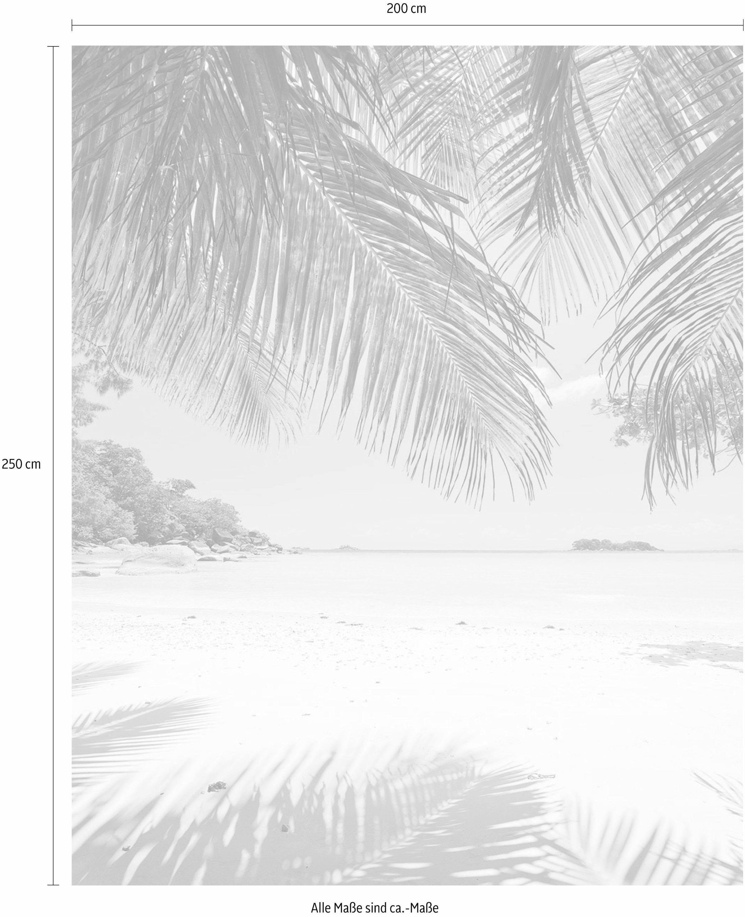 Komar Vliestapete »Under The Palmtree«, 200x250 bestellen | 100 Bahnbreite cm x Vliestapete, (Breite Höhe), cm BAUR