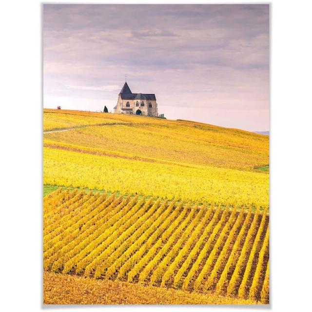 Wall-Art Poster »Weinfelder Champagne«, Landschaften, (1 St.), Poster,  Wandbild, Bild, Wandposter kaufen | BAUR