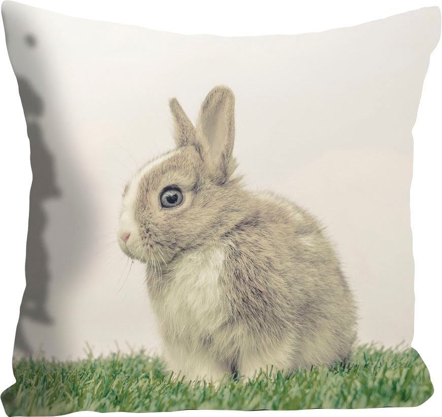 queence Dekokissen "Costas" mit einem Hasen auf der Wiese günstig online kaufen