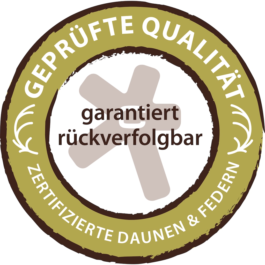 Centa-Star Daunenbettdecke »Nordic«, warm, Füllung 90% Daunen, 10% Federn, Bezug 100% Baumwolle, (1 St.)