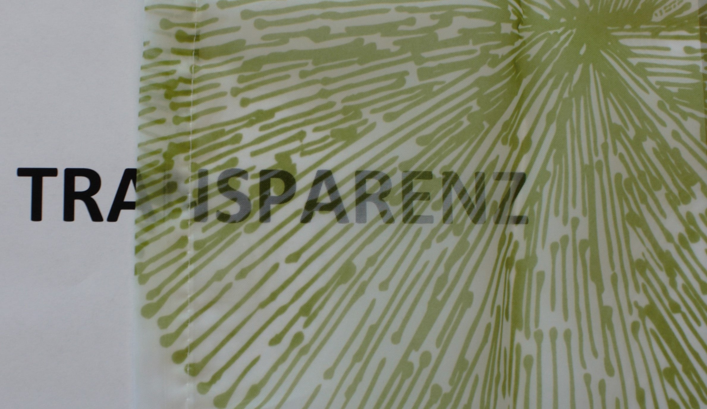 HOME WOHNIDEEN Vorhang »RAWLINS«, (1 St.), Schal aus Voile bedruckt