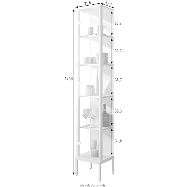 fif möbel Vitrine »STEP«, (1 St.) bestellen | BAUR