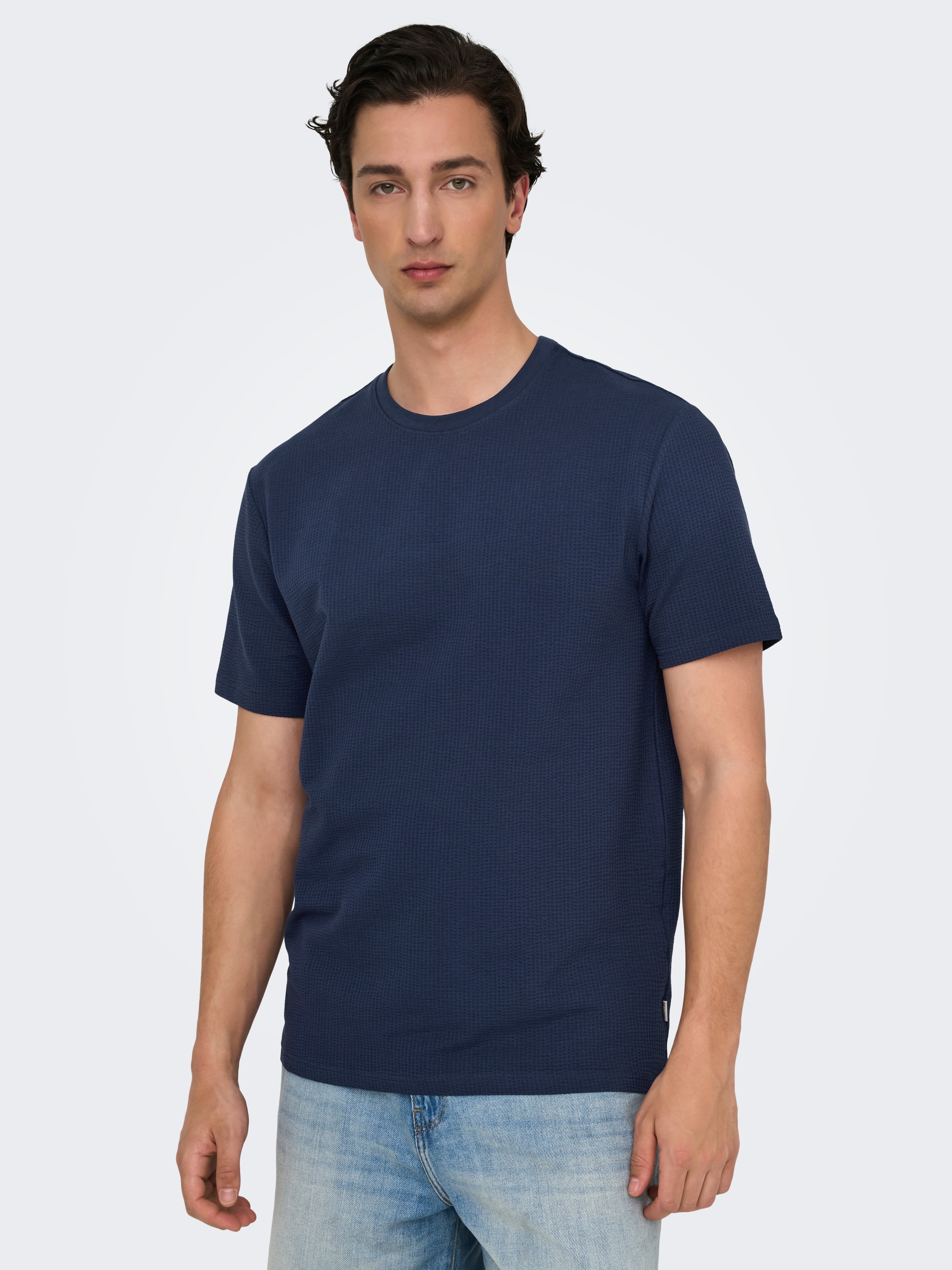ONLY & SONS Rundhalsshirt "ONSKIAN LIFE REG SEERSUCKER SS TEE NOOS" günstig online kaufen