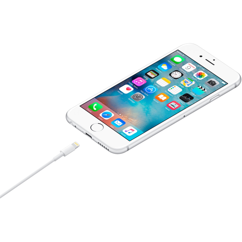 Apple Smartphone-Kabel »Lightning to USB Cable (0.5 m)«, Lightning, USB, 50 cm