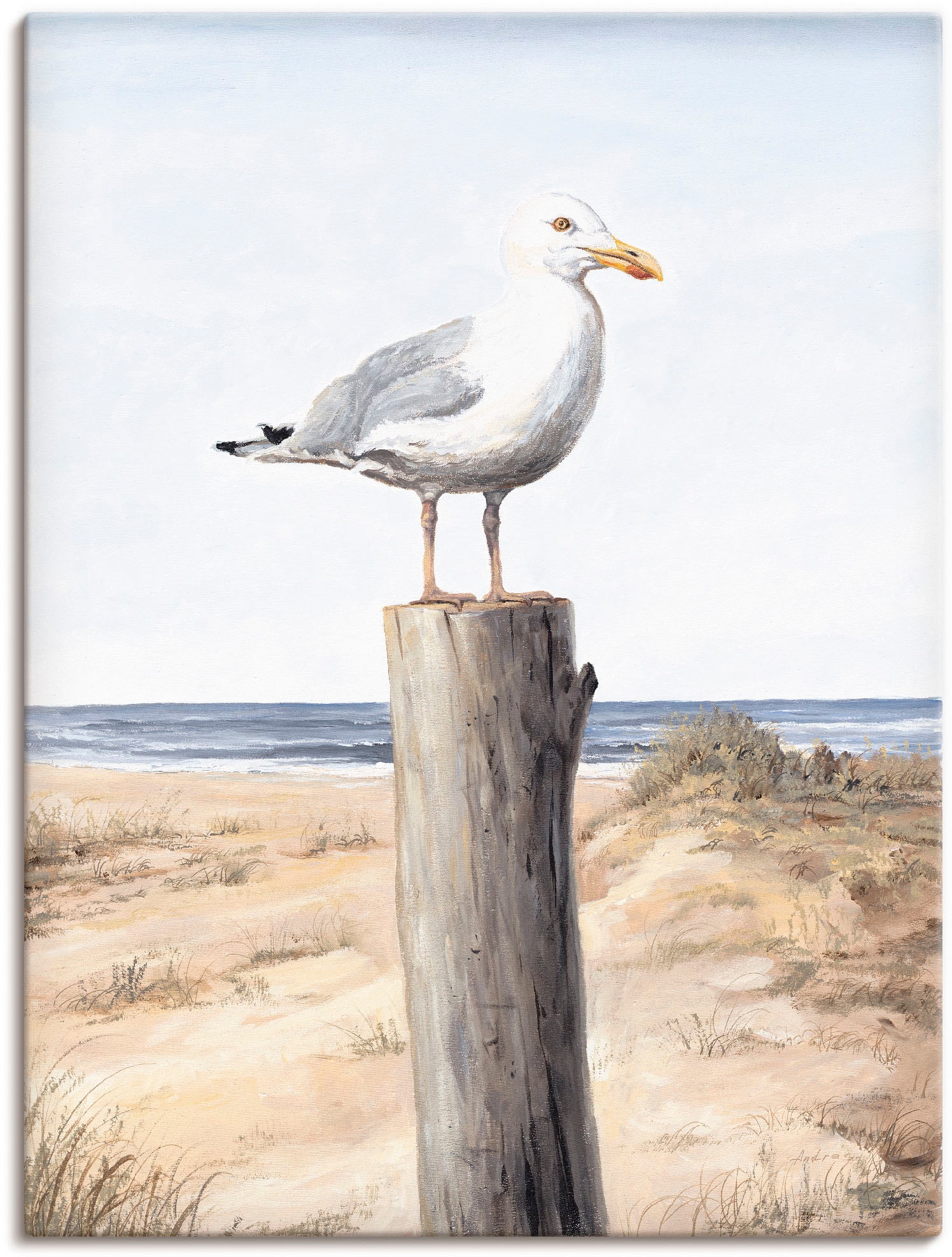 Artland Wandbild "Möwe" Vögel 1 Stk. tlg. als Alubild, Leinwandbild, Poster in verschied. Größen