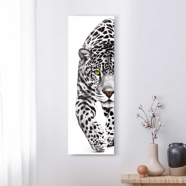 Reinders! Wandbild »Wandbild Leopard Kräftig - Panther - Raubtier -  Gefleckt«, Leopard, (1 St.) kaufen | BAUR